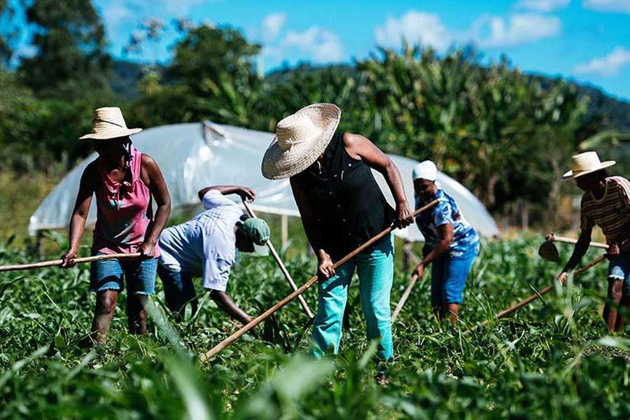 WIlliam Castillo: “Ataque a la economía y pueblo venezolanos no tiene parangón en todo el mundo