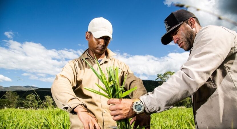 Venezuela avanza hacia una agricultura agroecológica