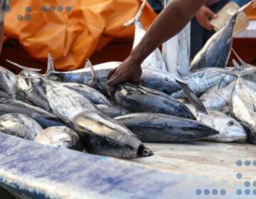 Venezuela potencia mecanismos que permitan continuar exportando productos del mar