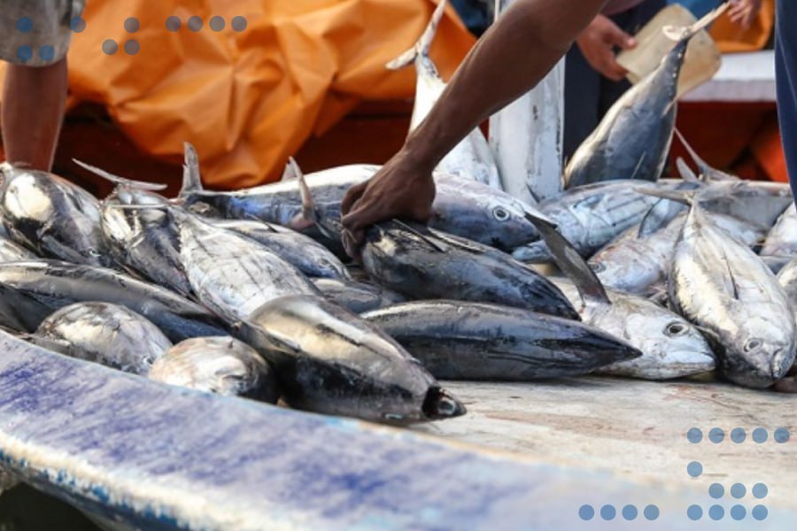 <strong>Venezuela potencia mecanismos que permitan continuar exportando productos del mar</strong>
