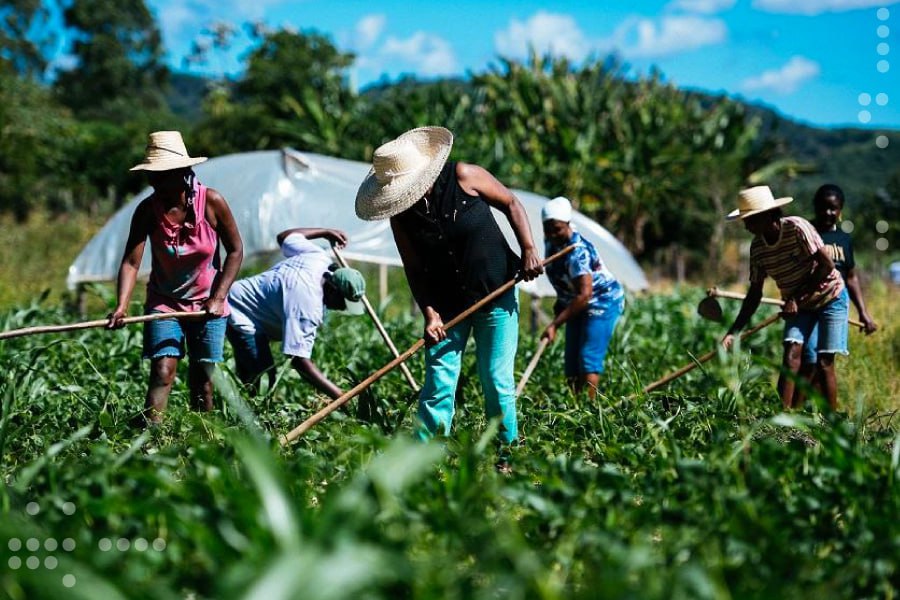 <strong>Portuguesa proyecta elevar su producción de alimentos en beneficio del pueblo venezolano</strong>