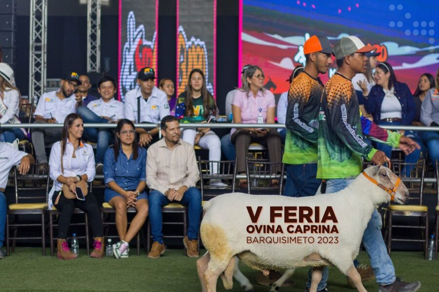 <strong>V Feria Ovina Caprina presenta innovaciones y trabajo de productores del país en Lara</strong>