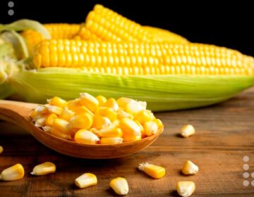 Entrega de semillas de maíz Inia 7 permitirá elevar la producción en Delta Amacuro