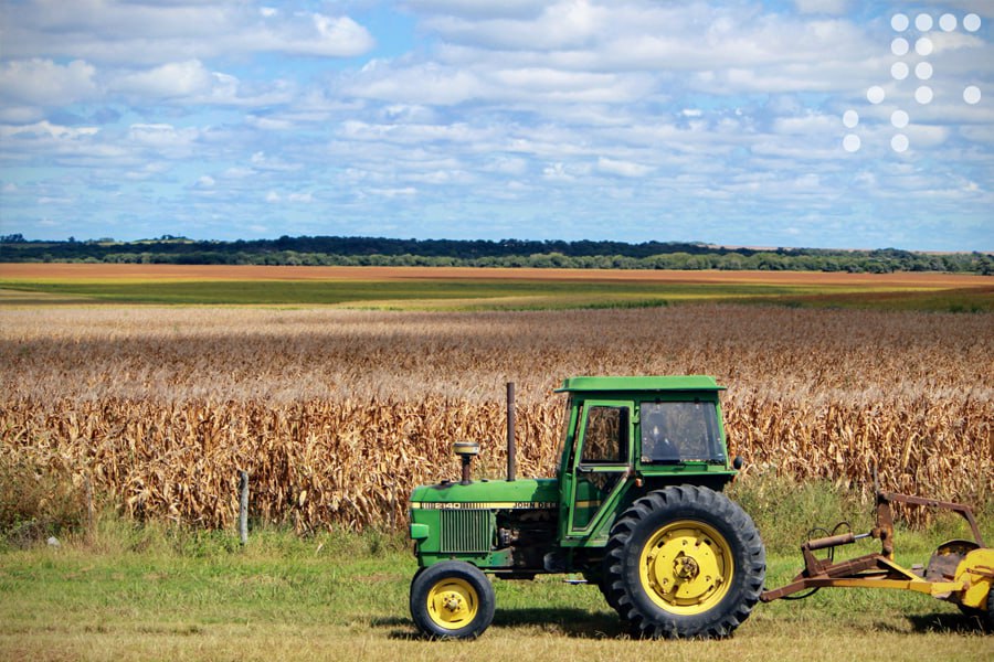 <strong>Guárico arroja un aumento de 6% en siembra de arroz y maíz</strong>