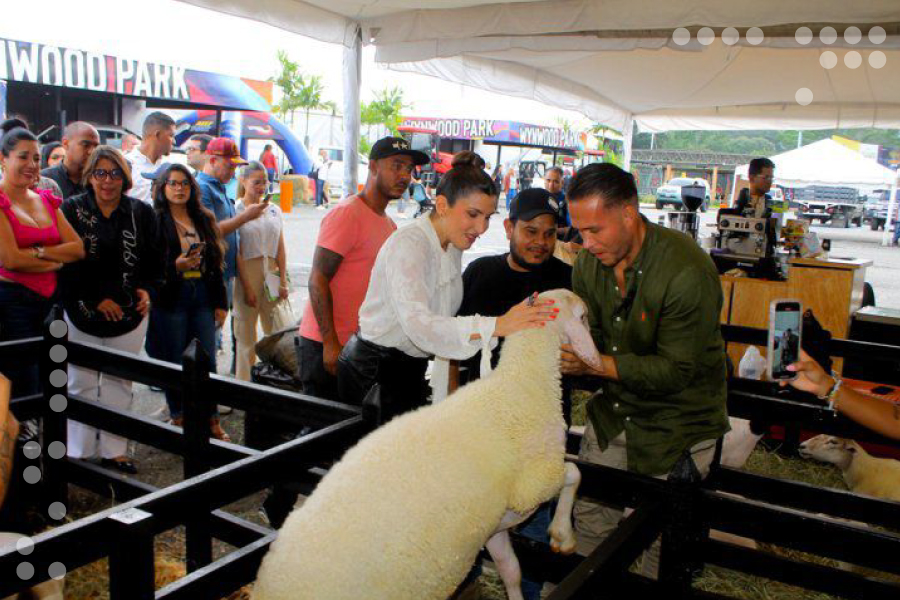 <strong>I Expo Feria Agroindustrial Carabobo recibió a 46 expositores del centro del país</strong>