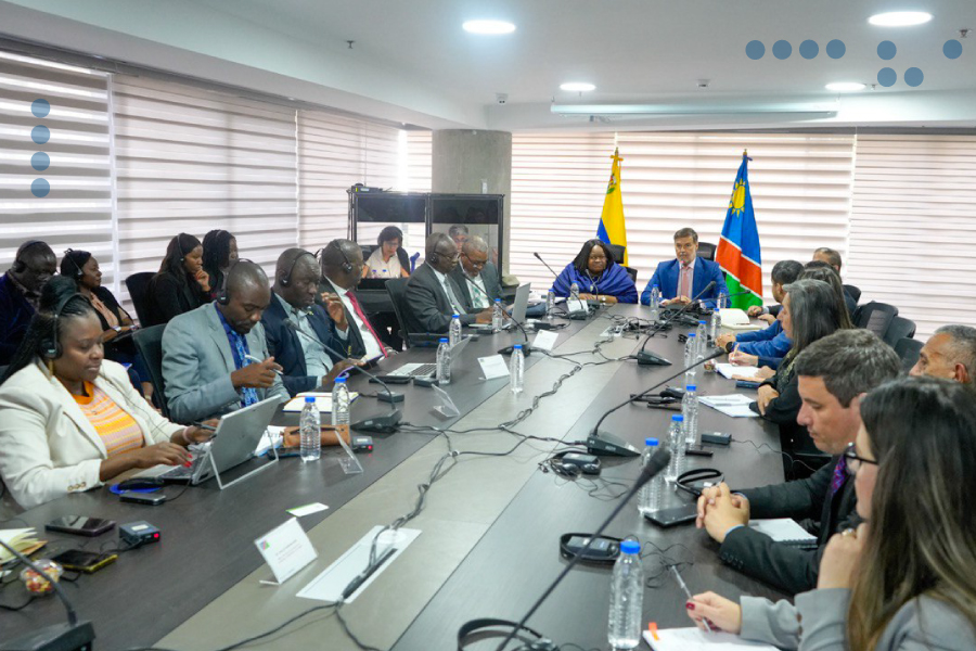 <strong>CIIP y Namibia sostienen encuentro en cooperación comercial</strong>