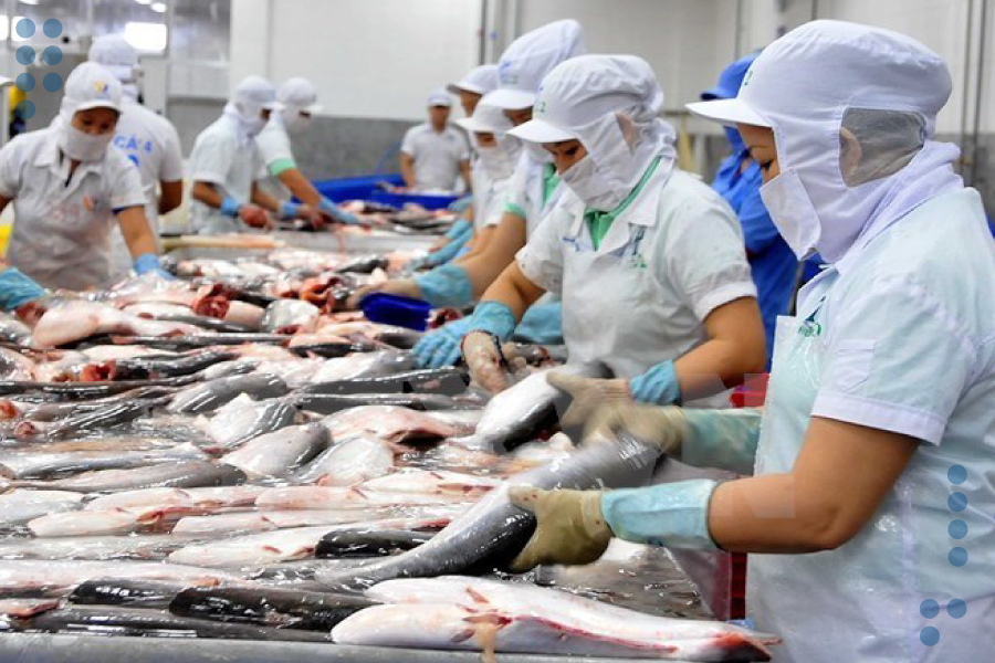 <strong>Mérida expande canales de exportación a Asia</strong>