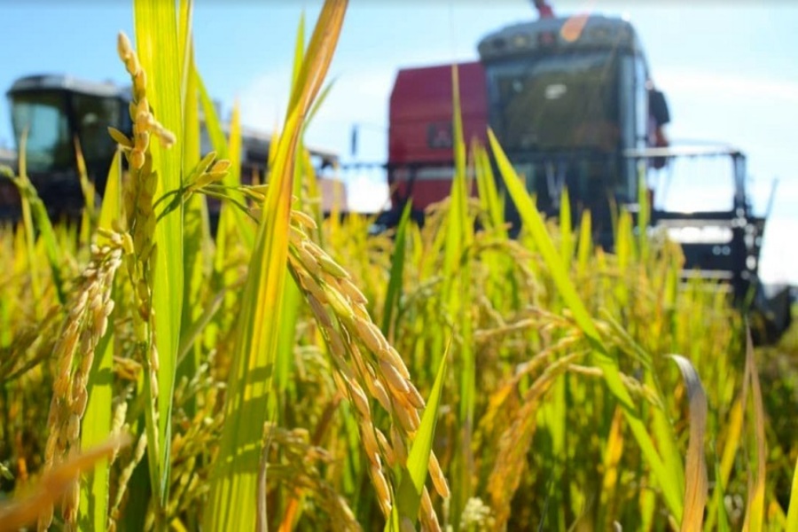 Guárico es tierra de potencial productivo, cultural y turístico