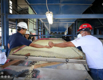 Venezuela inicia proyecto de tratamiento biotecnológico de semilla de maíz