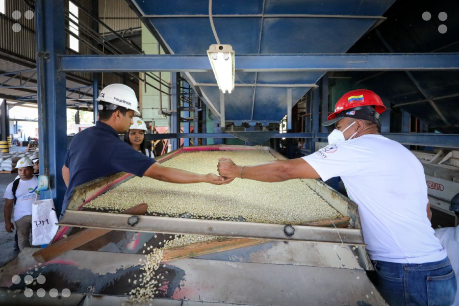 <strong>Venezuela inicia proyecto de tratamiento biotecnológico de semilla de maíz</strong>