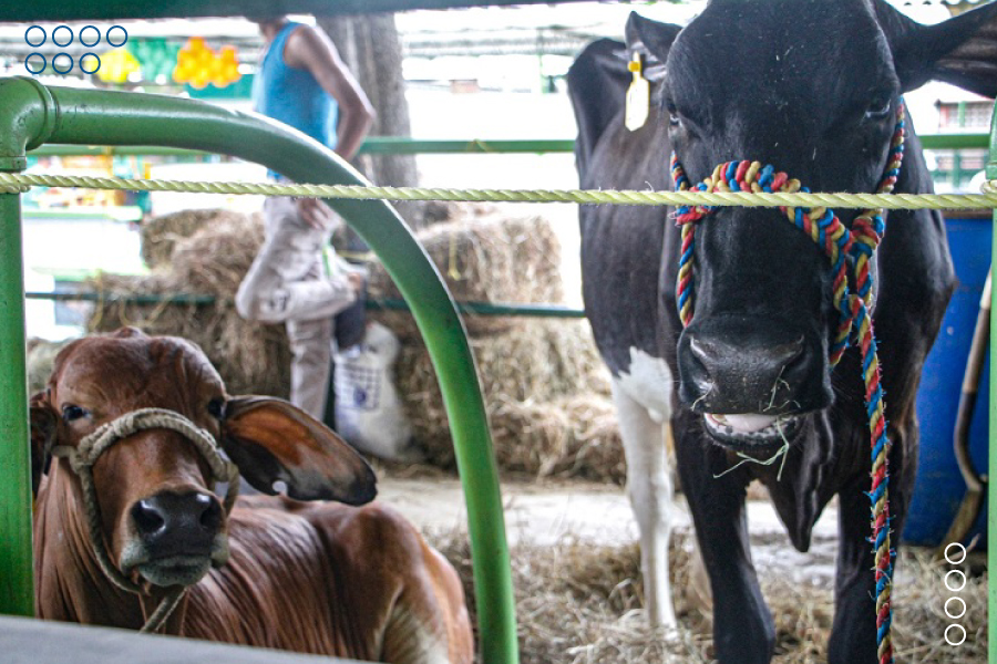 Expoferia Agropecuaria e Industrial 2024 impulsa desarrollo económico de Mérida