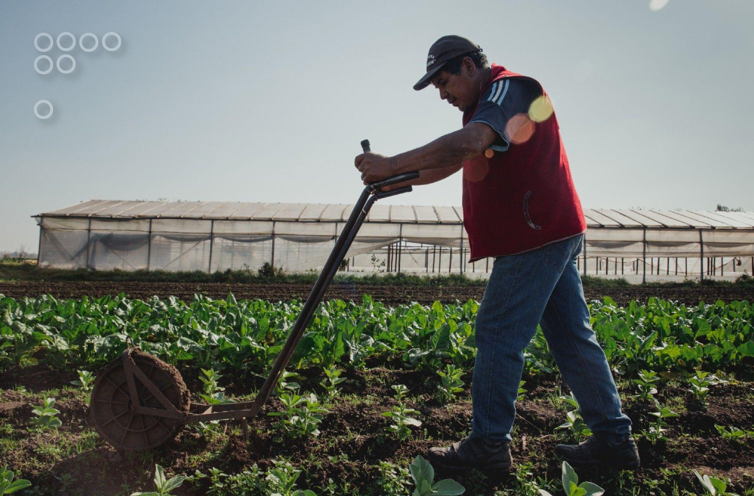 Proyectos de ciencia y tecnología impulsan agricultura sana y soberana