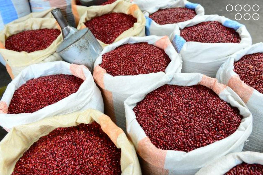 <strong>Lara exporta 40 toneladas de frijoles a Bélgica</strong>