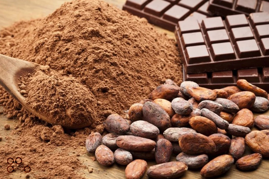 <strong>En Miranda abrieron escuela de chocolate</strong>