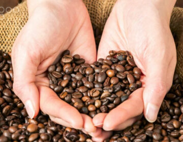 Precios del café a nivel mundial experimentaron un incremento del 16,8 % en abril