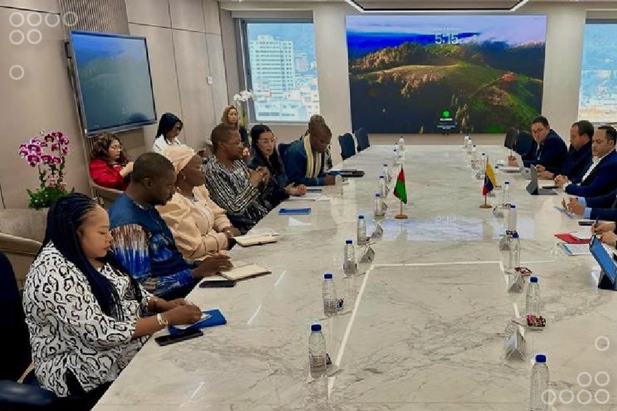 <strong>Venezuela fortalece la cooperación energética con África</strong>