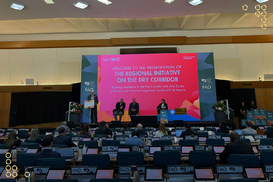 Venezuela reafirmó su soberanía alimentaria en el Foro Mundial de la Alimentación de la FAO