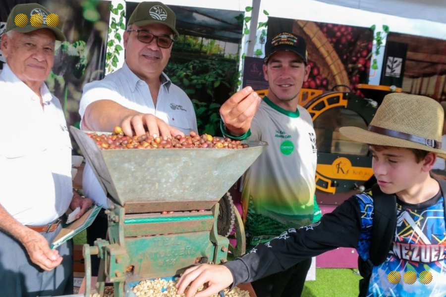 Zafra de café venezolano creció 55% en el 2025, respecto al año 2024