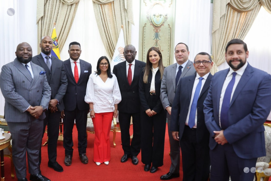 Presidenta (E) Delcy Rodríguez se reúne en Caracas con altos representantes de la Cámara Africana de Energía
