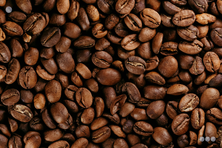 Torrefactora Rimar inició exportación de 20 toneladas de café hacia Türkiye
