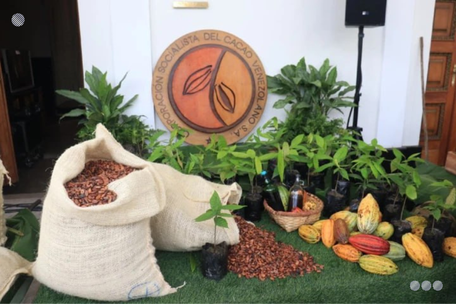 Poder Legislativo aprueba Ley para el Fomento y Promoción del Cacao